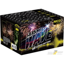 SEISMIC WAVE 68 Schuss 70 Sek.