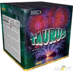 TAURUS BATTERIE 25 Sch. 48mm